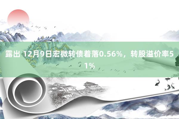 露出 12月9日宏微转债着落0.56%，转股溢价率51%