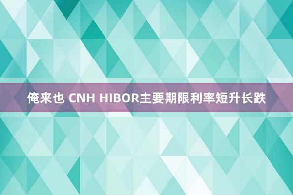 俺来也 CNH HIBOR主要期限利率短升长跌