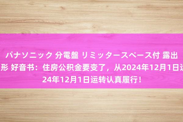 パナソニック 分電盤 リミッタースペース付 露出・半埋込両用形 好音书：住房公积金要变了，从2024年12月1日运转认真履行！