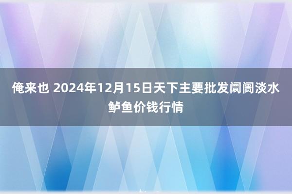 俺来也 2024年12月15日天下主要批发阛阓淡水鲈鱼价钱行情