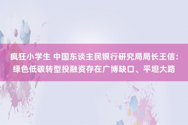 疯狂小学生 中国东谈主民银行研究局局长王信：绿色低碳转型投融资存在广博缺口、平坦大路