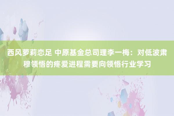 西风萝莉恋足 中原基金总司理李一梅：对低波肃穆领悟的疼爱进程需要向领悟行业学习