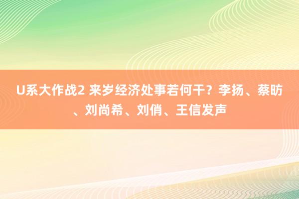 U系大作战2 来岁经济处事若何干？李扬、蔡昉、刘尚希、刘俏、王信发声