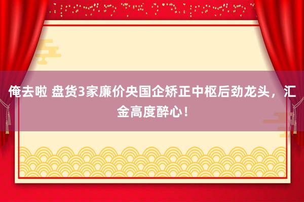 俺去啦 盘货3家廉价央国企矫正中枢后劲龙头，汇金高度醉心！