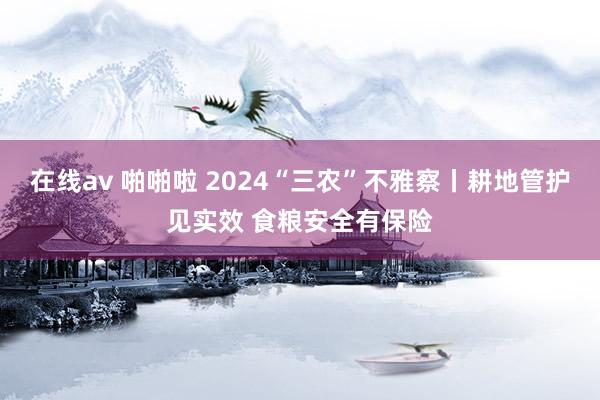 在线av 啪啪啦 2024“三农”不雅察丨耕地管护见实效 食粮安全有保险