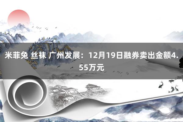 米菲兔 丝袜 广州发展：12月19日融券卖出金额4.55万元