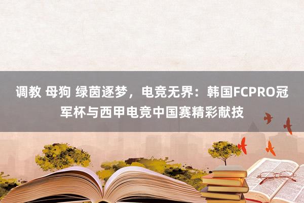 调教 母狗 绿茵逐梦，电竞无界：韩国FCPRO冠军杯与西甲电竞中国赛精彩献技