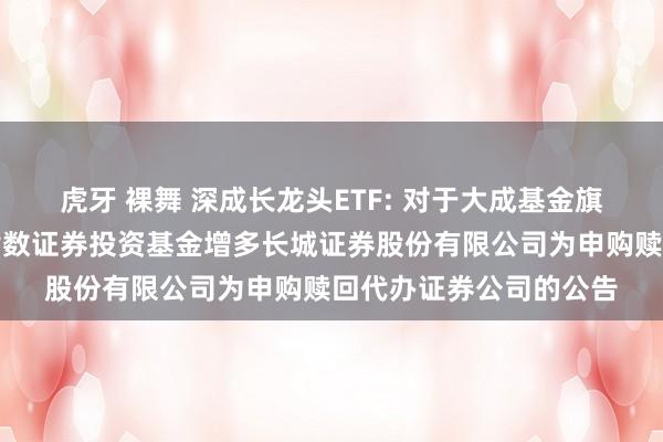 虎牙 裸舞 深成长龙头ETF: 对于大成基金旗下部分来往型灵通式指数证券投资基金增多长城证券股份有限公司为申购赎回代办证券公司的公告