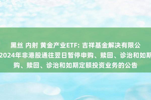 黑丝 内射 黄金产业ETF: 吉祥基金解决有限公司对于旗下部分基金2024年非港股通往翌日暂停申购、赎回、诊治和如期定额投资业务的公告