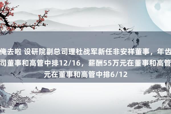 俺去啦 设研院副总司理杜战军新任非安祥董事，年齿52岁在公司董事和高管中排12/16，薪酬55万元在董事和高管中排6/12