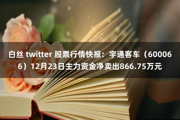 白丝 twitter 股票行情快报：宇通客车（600066）12月23日主力资金净卖出866.75万元