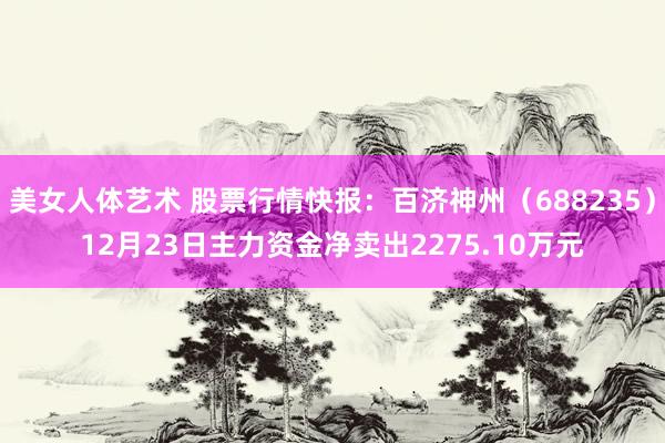 美女人体艺术 股票行情快报：百济神州（688235）12月23日主力资金净卖出2275.10万元