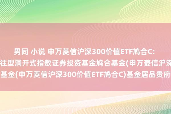 男同 小说 申万菱信沪深300价值ETF鸠合C: 申万菱信沪深300价值交往型洞开式指数证券投资基金鸠合基金(申万菱信沪深300价值ETF鸠合C)基金居品贵府节录