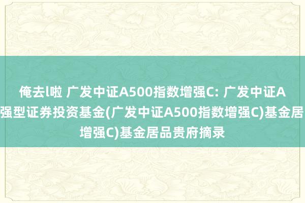 俺去l啦 广发中证A500指数增强C: 广发中证A500指数增强型证券投资基金(广发中证A500指数增强C)基金居品贵府摘录