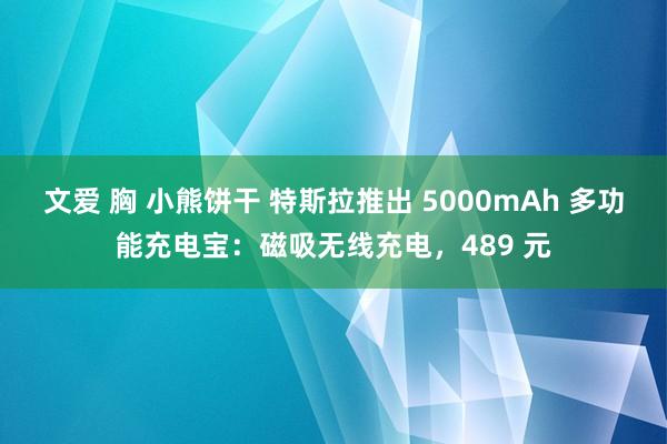 文爱 胸 小熊饼干 特斯拉推出 5000mAh 多功能充电宝：磁吸无线充电，489 元