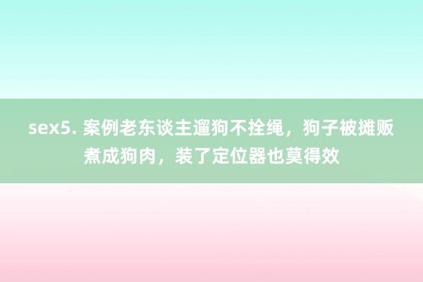 sex5. 案例老东谈主遛狗不拴绳，狗子被摊贩煮成狗肉，装了定位器也莫得效