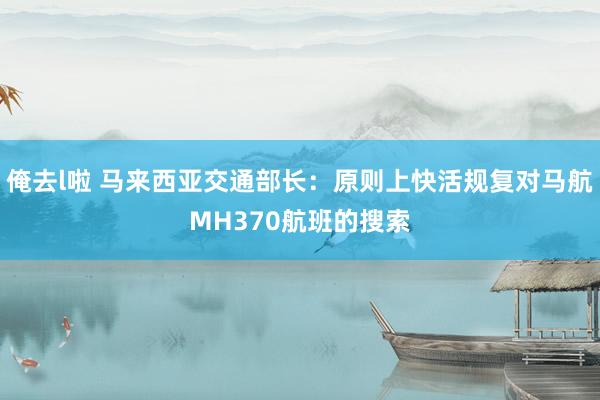 俺去l啦 马来西亚交通部长：原则上快活规复对马航MH370航班的搜索