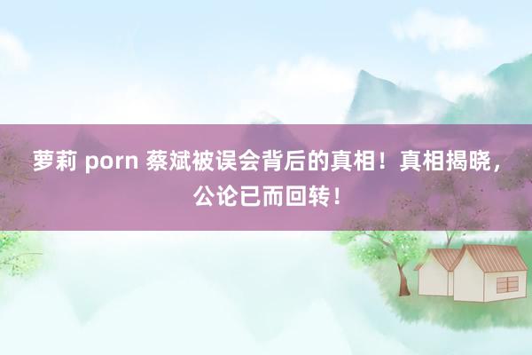 萝莉 porn 蔡斌被误会背后的真相！真相揭晓，公论已而回转！