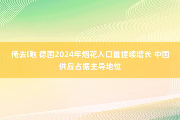 俺去l啦 德国2024年烟花入口量捏续增长 中国供应占据主导地位