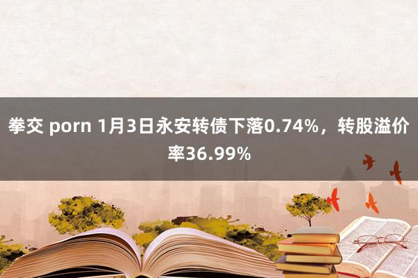 拳交 porn 1月3日永安转债下落0.74%，转股溢价率36.99%