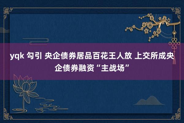 yqk 勾引 央企债券居品百花王人放 上交所成央企债券融资“主战场”