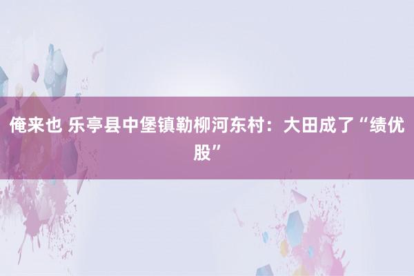 俺来也 乐亭县中堡镇勒柳河东村：大田成了“绩优股”