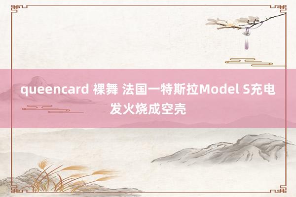 queencard 裸舞 法国一特斯拉Model S充电发火烧成空壳