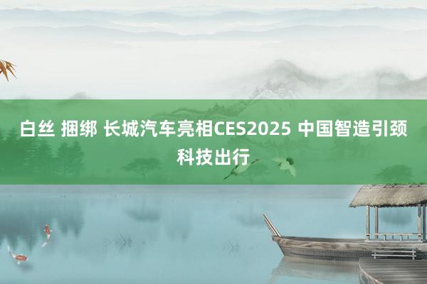 白丝 捆绑 长城汽车亮相CES2025 中国智造引颈科技出行