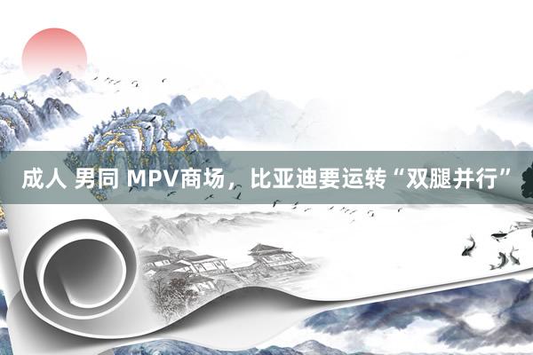 成人 男同 MPV商场，比亚迪要运转“双腿并行”