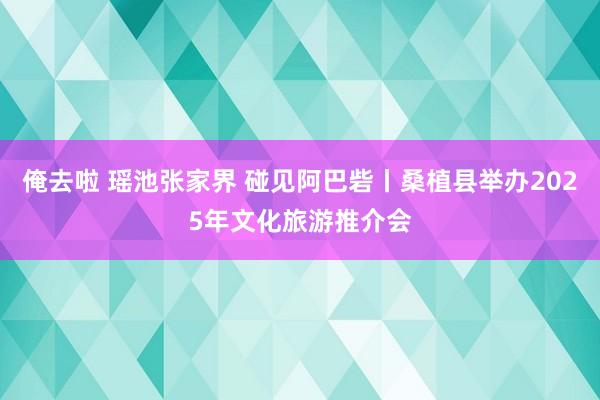 俺去啦 瑶池张家界 碰见阿巴砦丨桑植县举办2025年文化旅游推介会