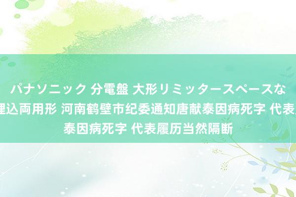 パナソニック 分電盤 大形リミッタースペースなし 露出・半埋込両用形 河南鹤壁市纪委通知唐献泰因病死字 代表履历当然隔断