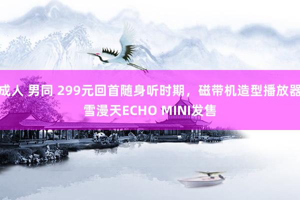 成人 男同 299元回首随身听时期，磁带机造型播放器雪漫天ECHO MINI发售