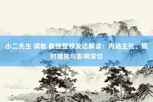 小二先生 调教 教授整顿发达解读：内涵主张、现时措施与影响深切